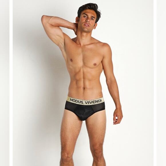 Modus Vivendi Festive Brief, Medium - Picture 2 of 8